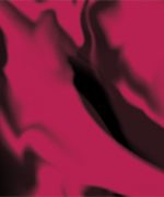 Trendfarben_2016_CosmicCoral_Batik_s